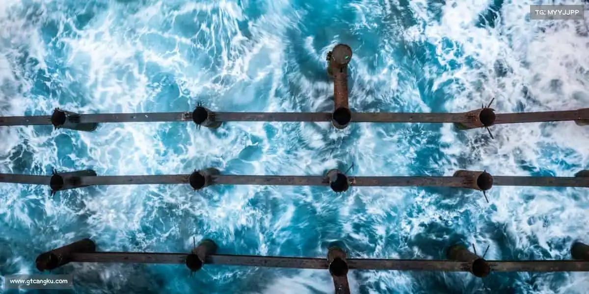 米兰milan官网每一次挥拍 / 奔跑 / 跳跃,都是对自己的馈赠!🏐💨